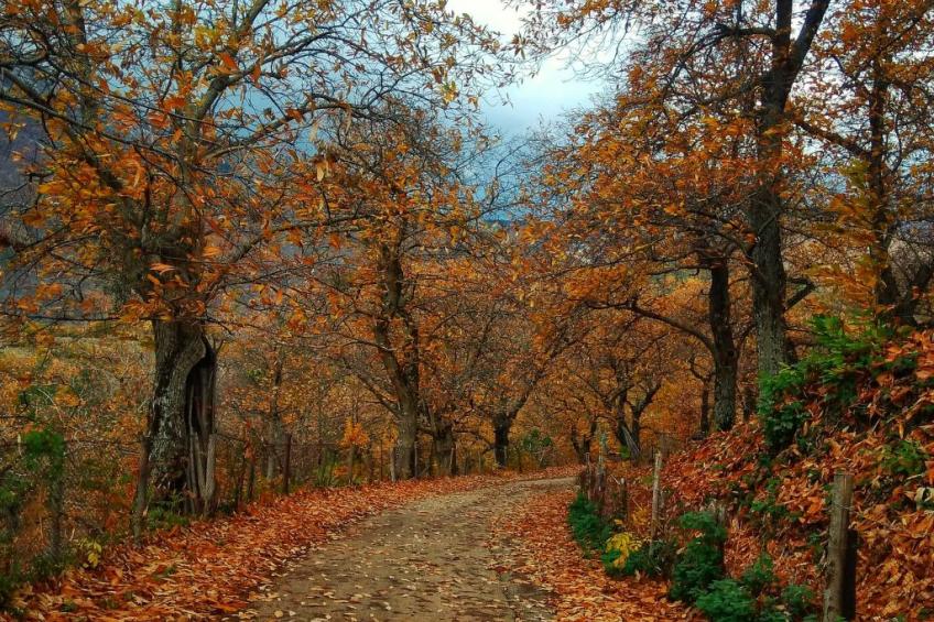 La Casa della Rocca für einen erholsamen Aufenthalt - foto 10