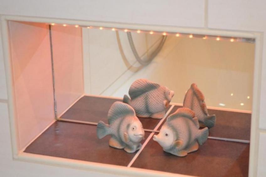 Schäfers Ferienwohnung Oberdiebach am Mittelrhein - foto 22