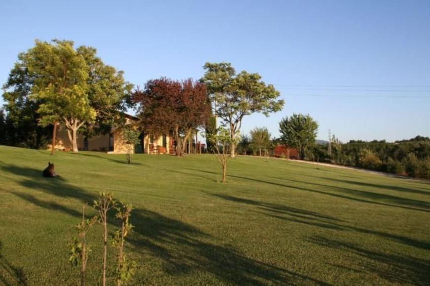 Haus mit Gartenblick - foto 38