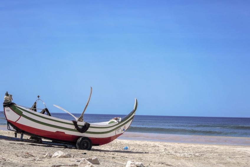 in Coimbrão mit Eigenem Pool - foto 32