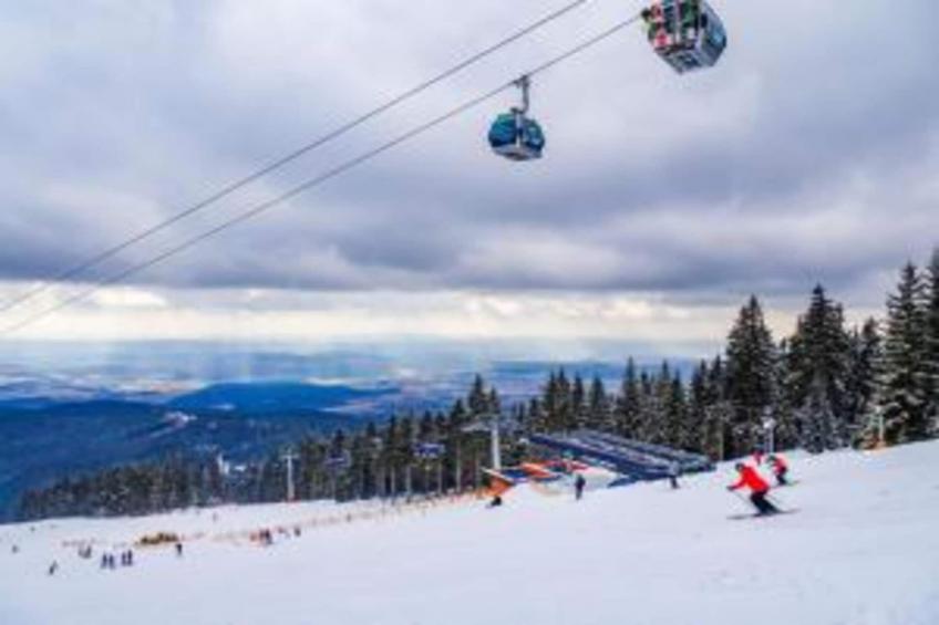 Huis Javornik - foto 23