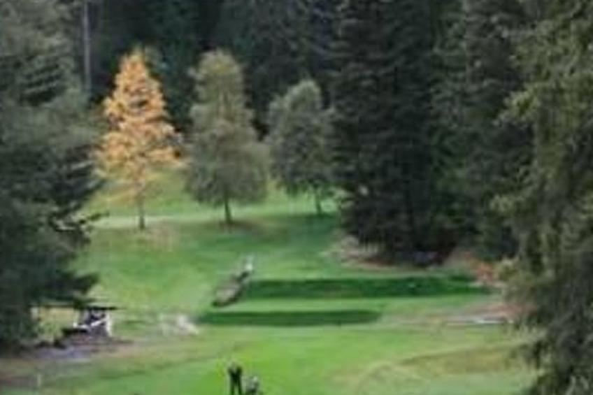 Alte typische Engadinermühle - foto 52