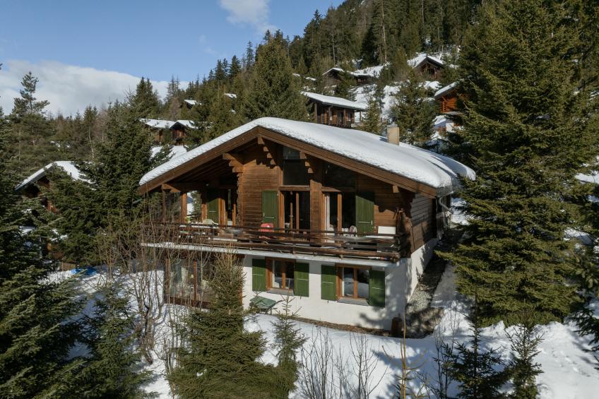 Veni, Vidi, Mansi - foto 3