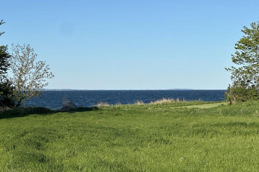 "Ady" - 150m from the sea in SE Jutland - foto 19