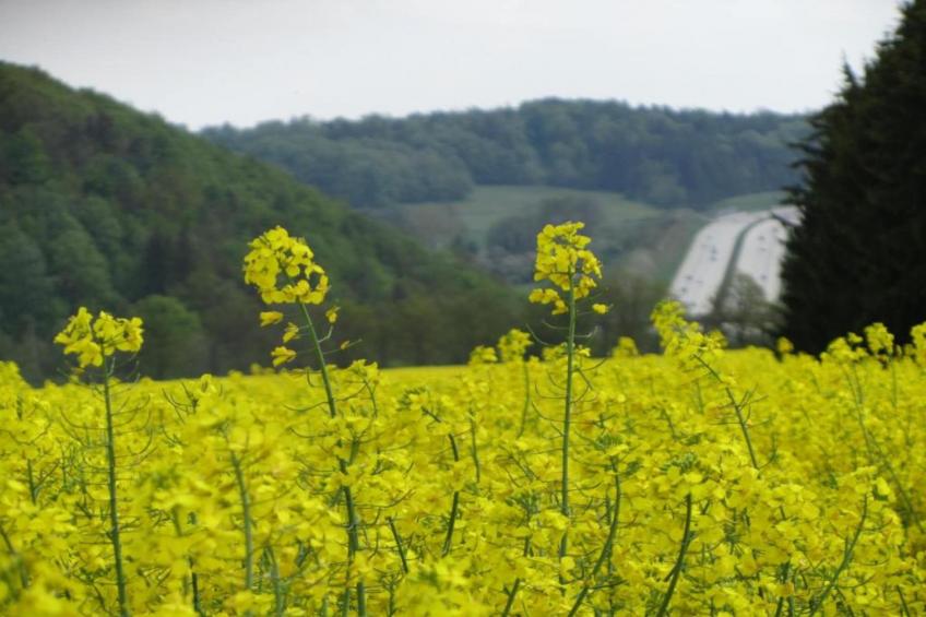 Ferienwohnug an der Saale - foto 39