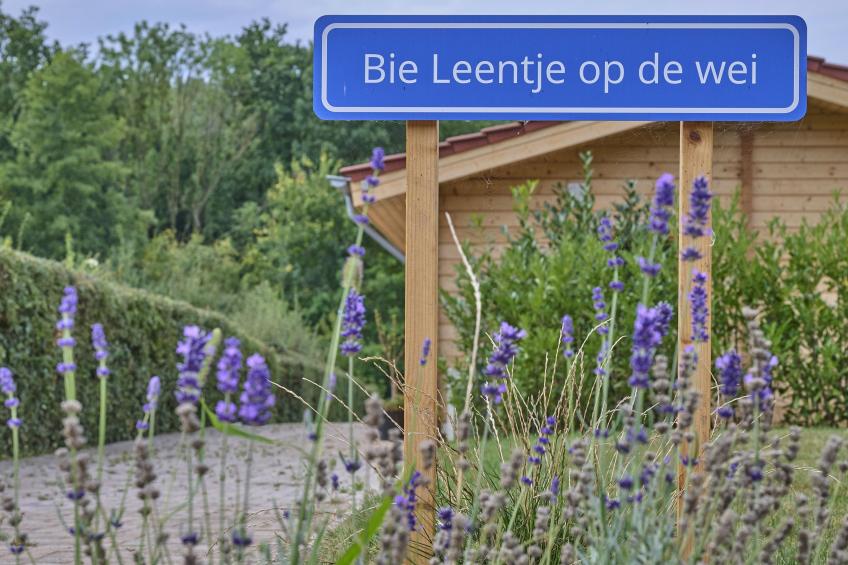 Bie Leentje op de Wei - foto 38