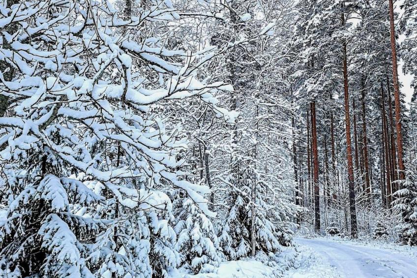 Le club 44 - foto 58