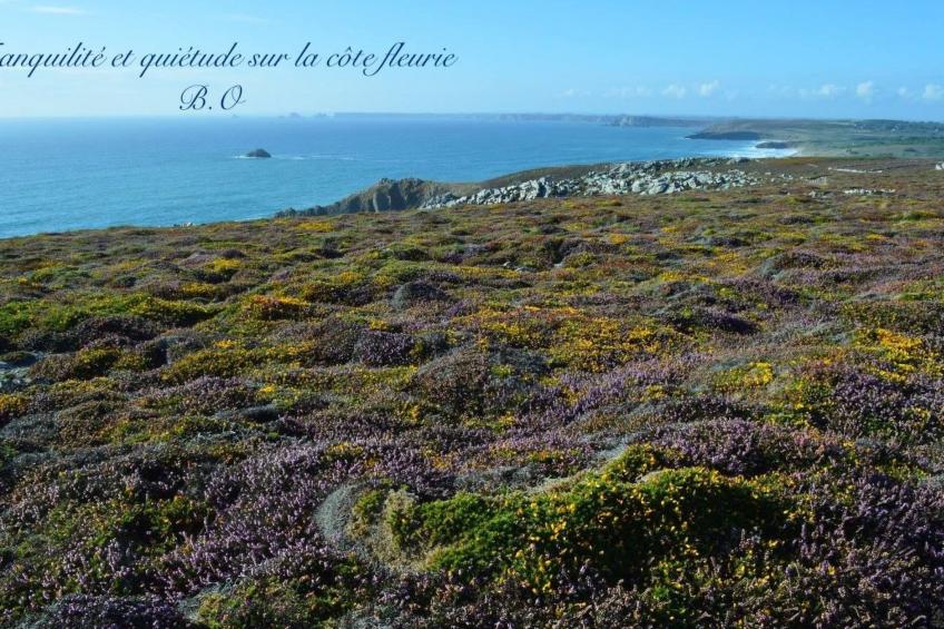 Ferienhaus - foto 33