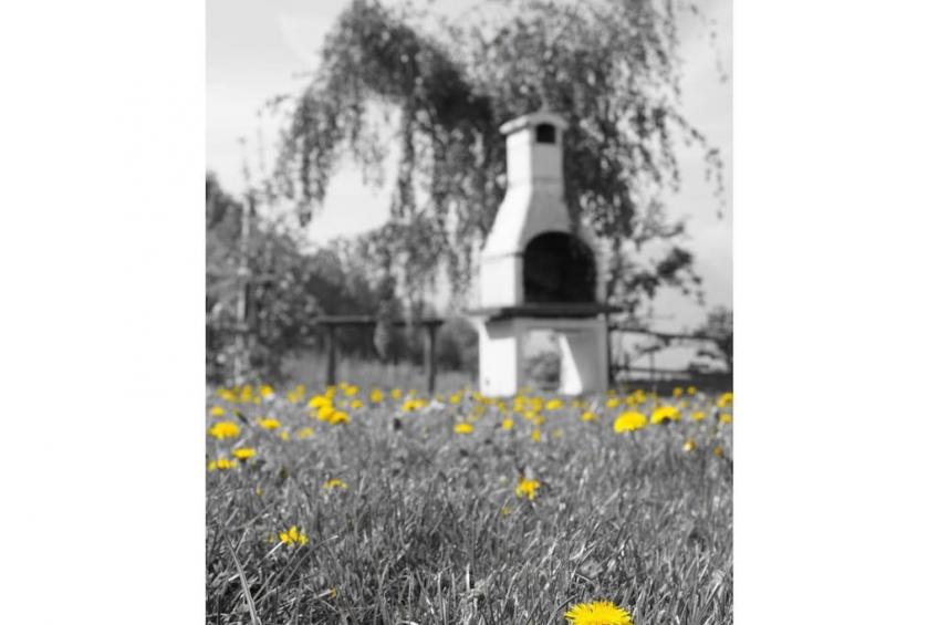 36032 - foto 8