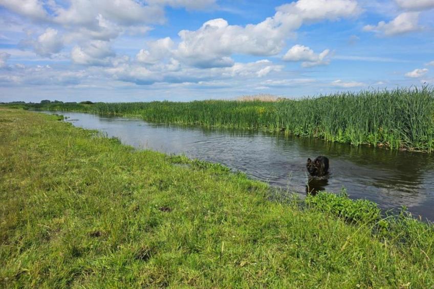 A large comfortable house Gajewo in Podlasie - foto 21