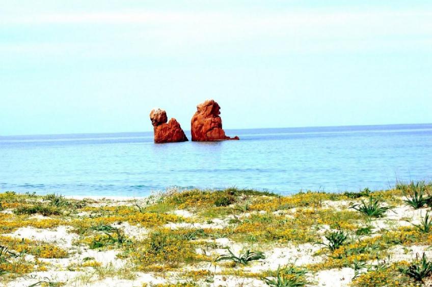 TORTOLI - THE HOME OF THE SEA - foto 16