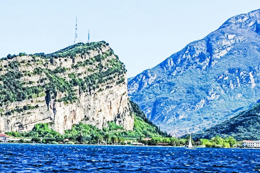 Calicantus - Nespolo - foto 19