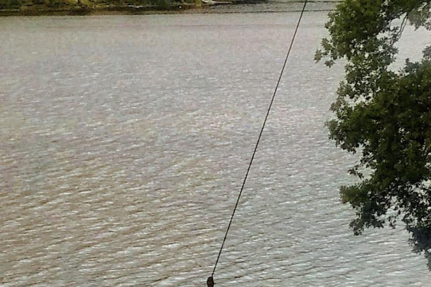 Schwedisches Glück, zwischen Wäldern und einem See - foto 59