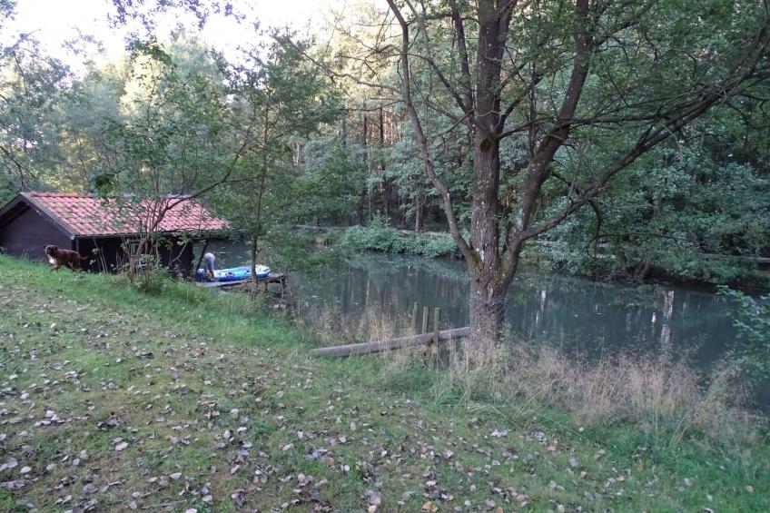 Haus Victoria - foto 23