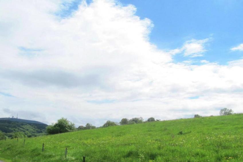 Ferienwohnung Apelt - foto 25