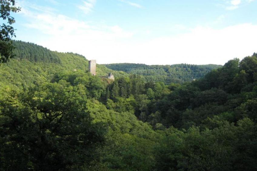 Bungalowpark Rien van den Broeke Village - foto 17