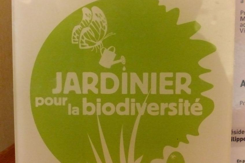 Domäne mit Terrasse, Grill und Garten - foto 37