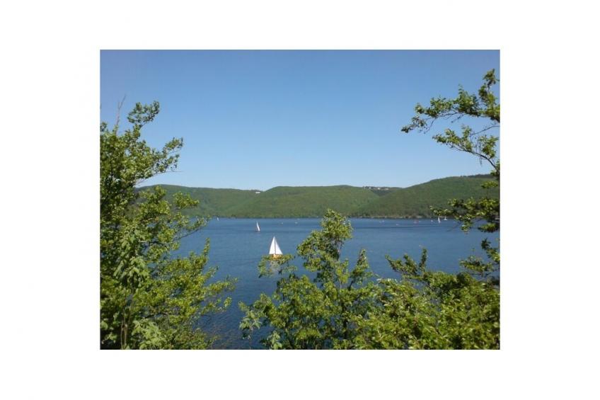 444726 - foto 22