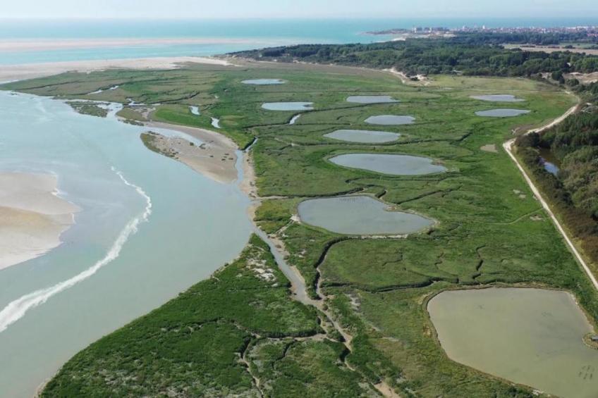 Berck sur Mer 2 - foto 36