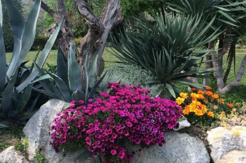 TERRAZZE SUL GARDA - foto 28