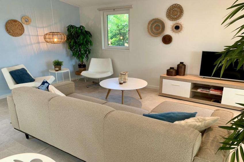 Campanula 136 - foto 6