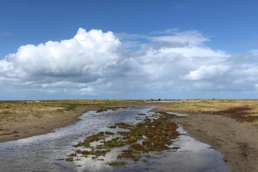 Chalet Sea Rocks - foto 35