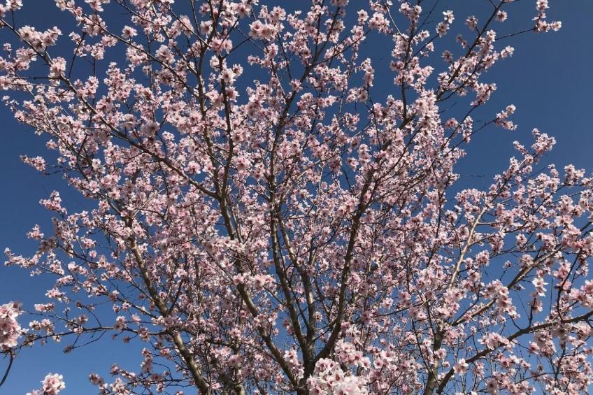 Il Podere La Regina mit privatem Pool - foto 47