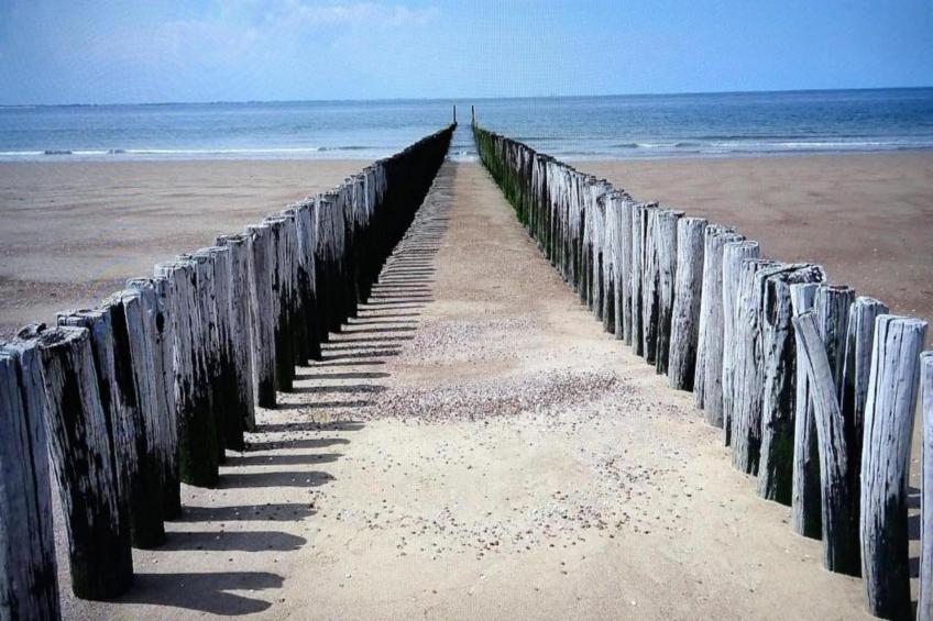 Noordzee Résidence Dishoek - foto 17