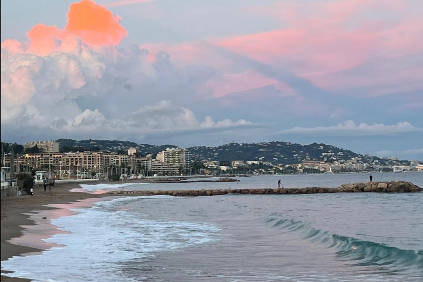 Résidence Palm Beach - foto 23