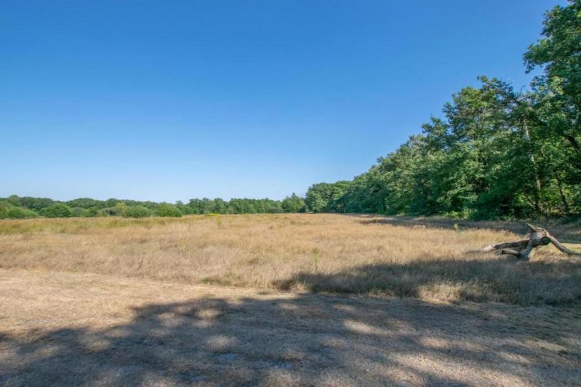 Vakantiepark De Pier - foto 27