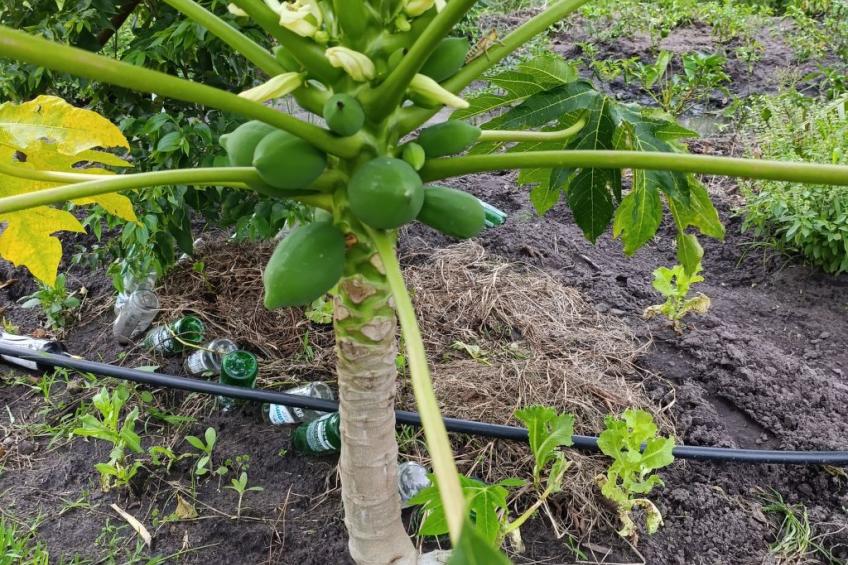 National Park View - foto 17