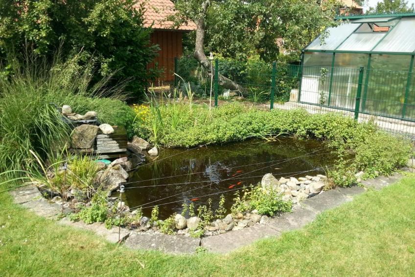 Großzügige Ferienwohnung mit Garten und Terrasse, nur zwei Kilometer vom Strand - foto 12