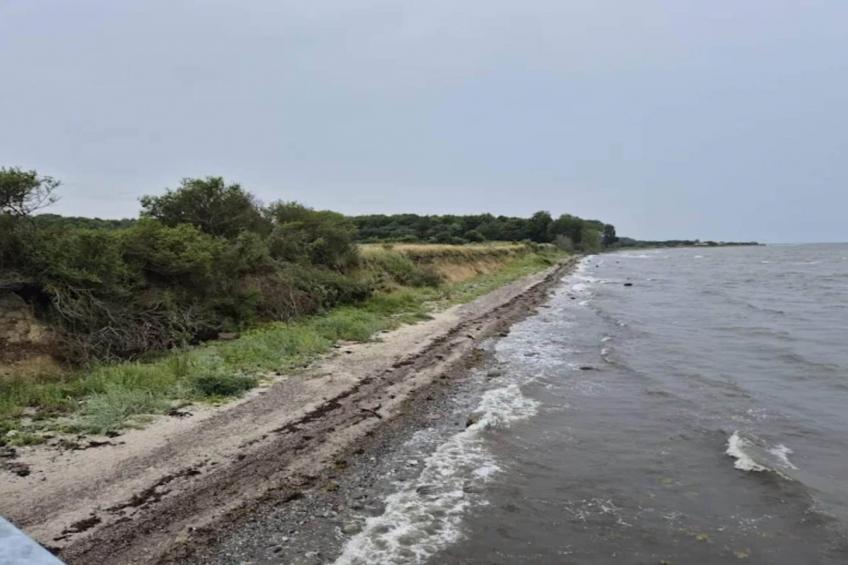 BF-ZVTNN - foto 30