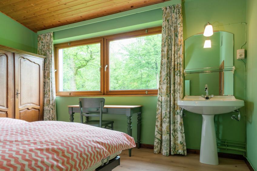 Red Hazels - foto 18