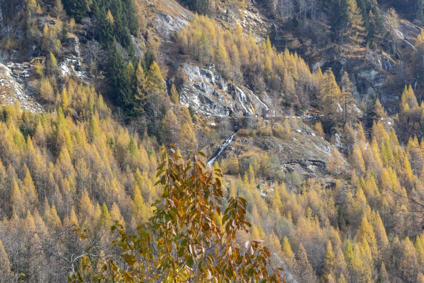 Isola di Madesimo Apartments - foto 38