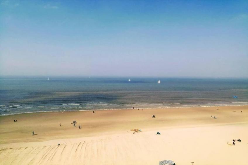 La Frégate - foto 34