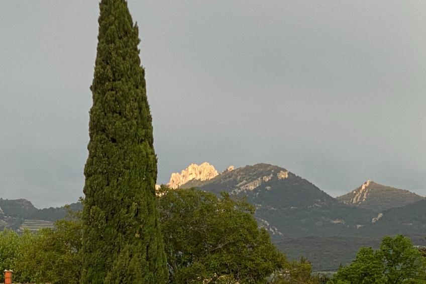 Le Mas d'à côté - foto 24