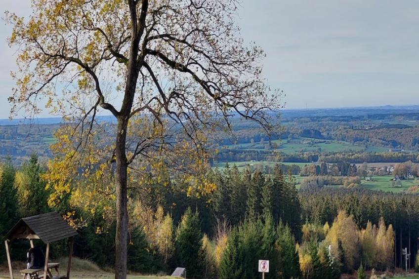 Ardennes Bleu 8 pers maximum - foto 20