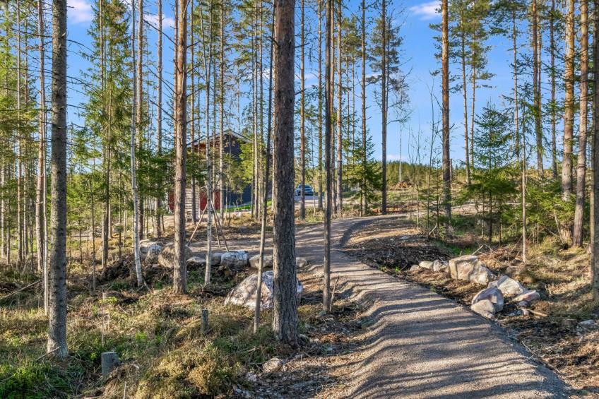 Järven idylli - foto 2