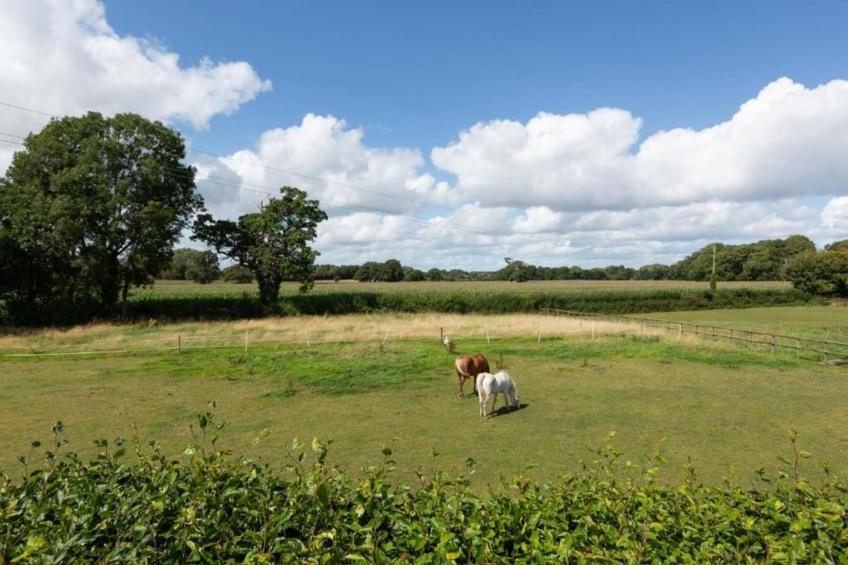 Netley Hall - Peach Tree - foto 34