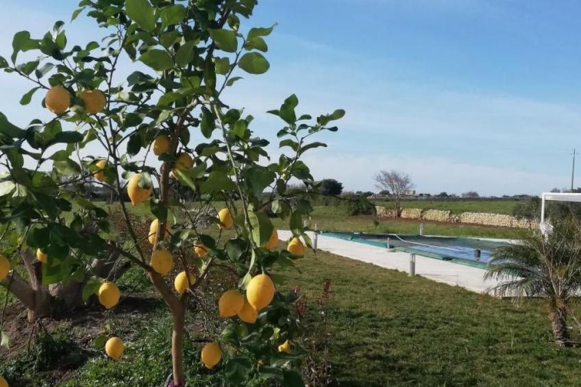 Casa Sbrizza... auf dem Lande, 15 Minuten vom Meer entfernt - foto 16