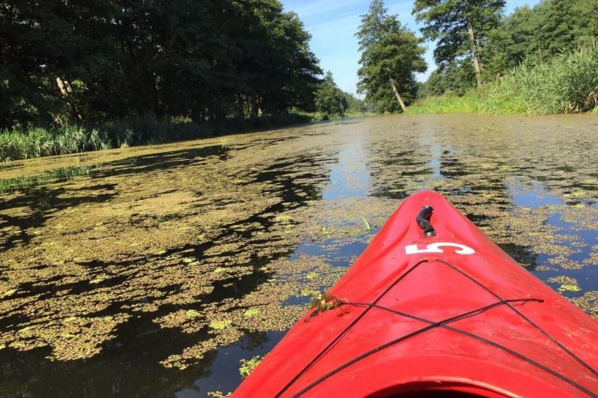 Juwel an der Lagune - foto 23