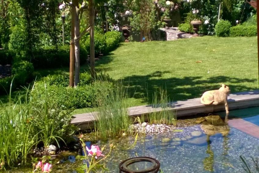 Villa Romantica - foto 24