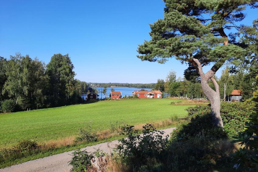 am Algunnensee mit Sprudelwanne - foto 6