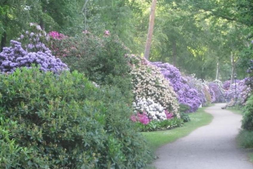 Meerestraum - foto 36