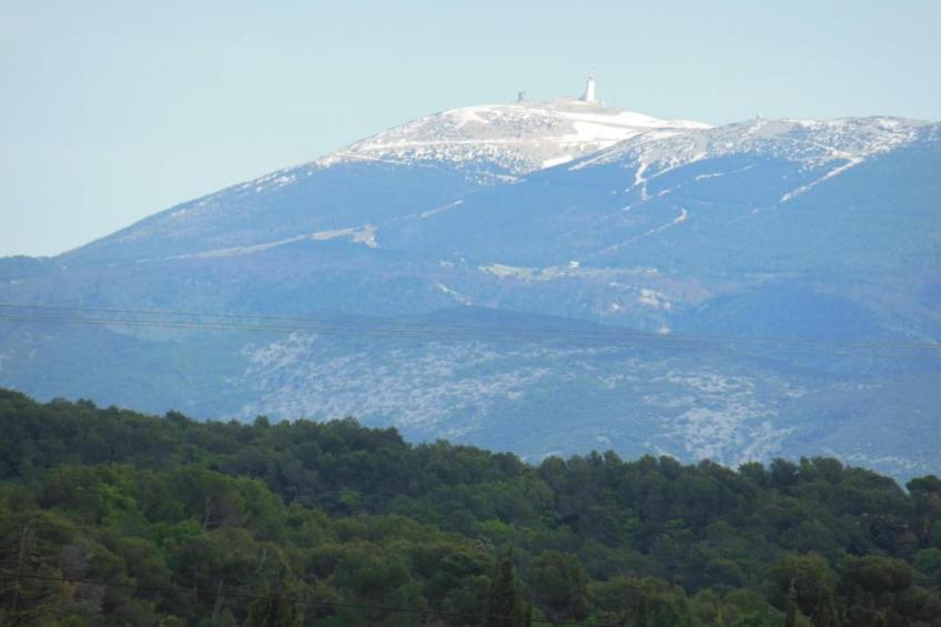 Le Grand Cedre - foto 35