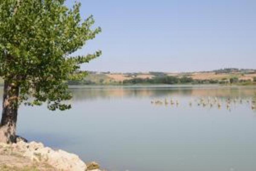 Poggio Casale - foto 26