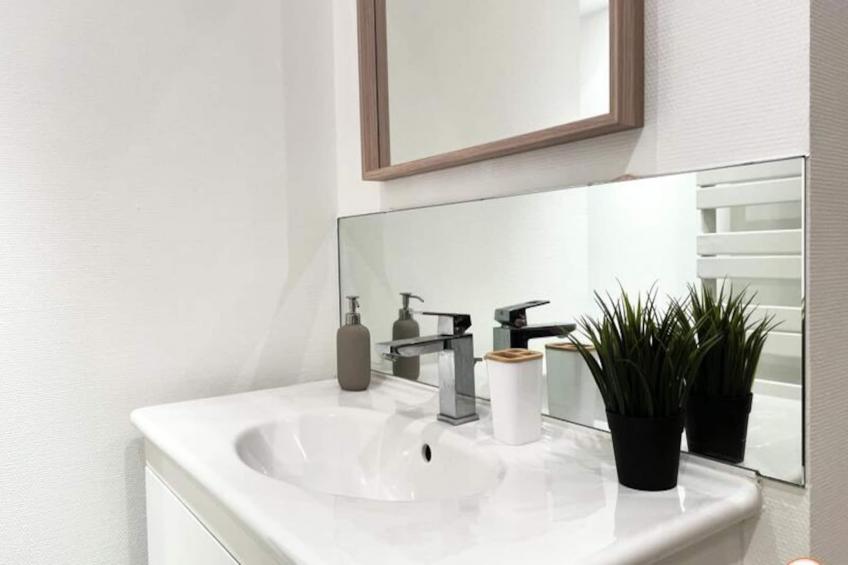 ✨ Le Palais Des Glaces - Hypercentre - Port - foto 16