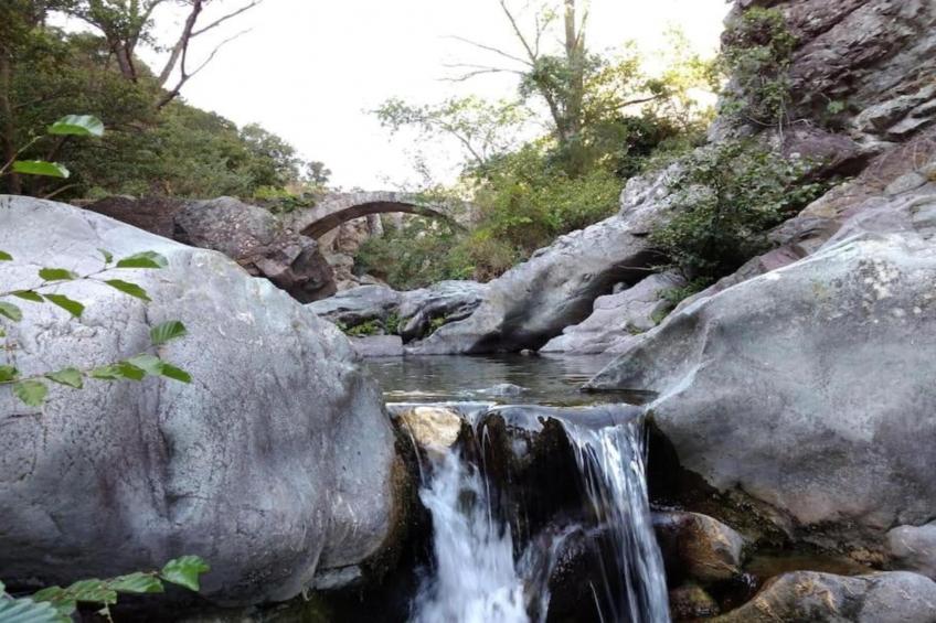 Villa Félines - foto 38