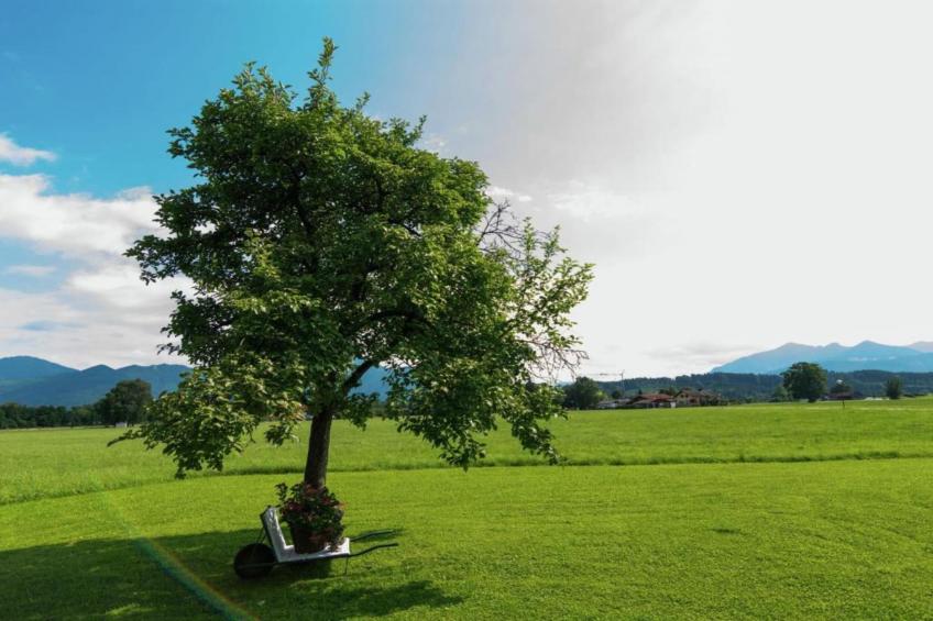 Bauernhaus - foto 24